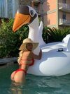 MILLY_Bebecita thumbnail 86
