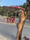 MILLY_Bebecita thumbnail 98