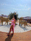 Sofia fino 25 oct thumbnail 38