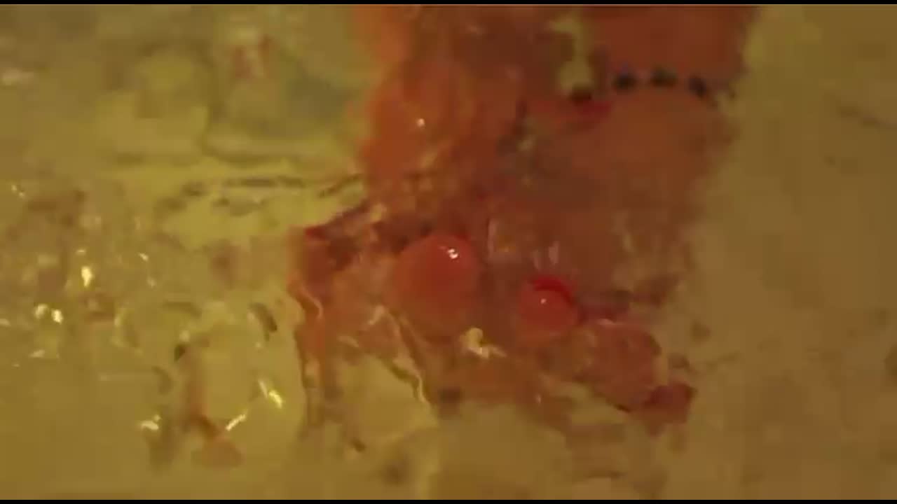image: 1