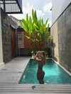 Natasha