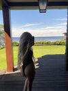 Valeriia thumbnail 29