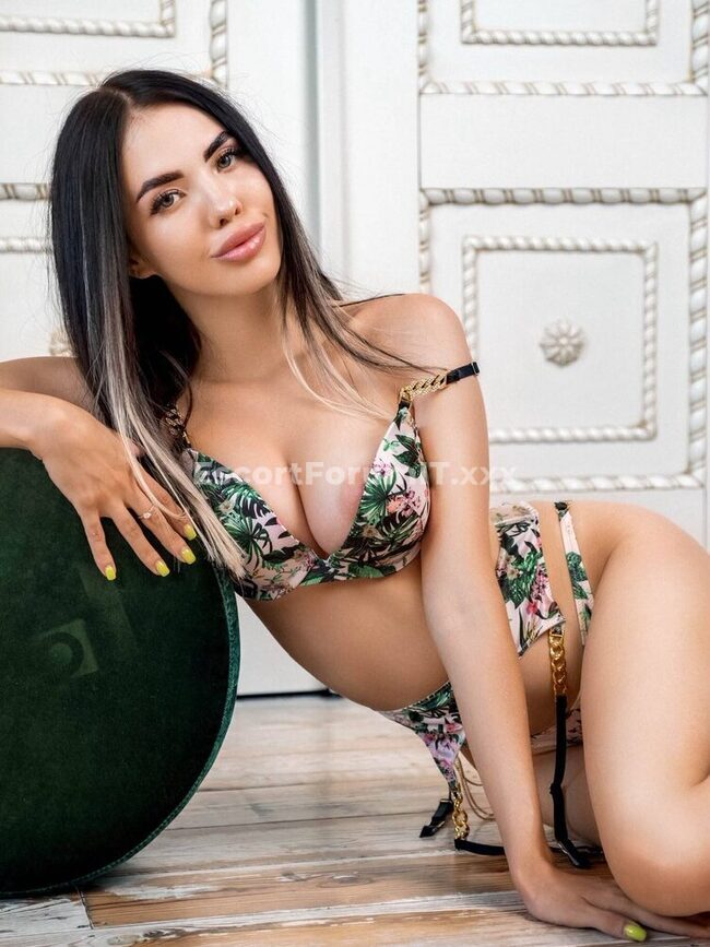 Vlada